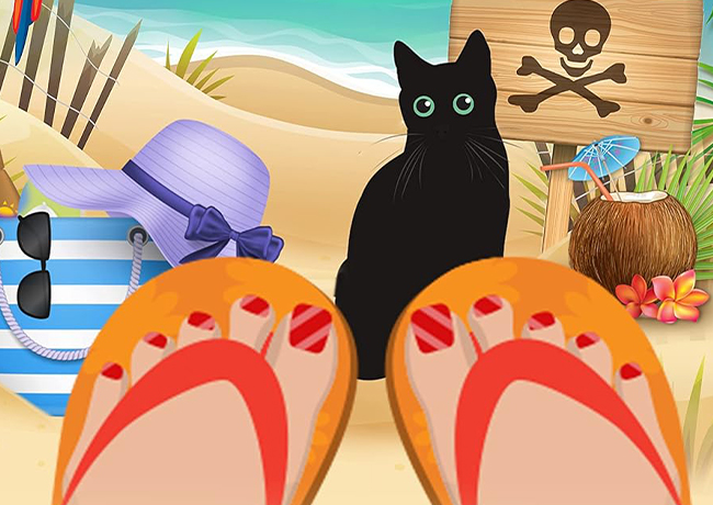 Explore The Barefoot Sleuth Mysteries by H.Y. Hanna